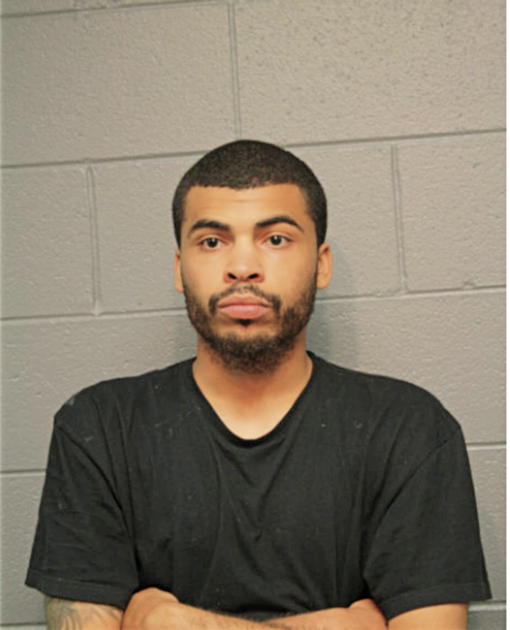 ANTHONY T GALLAGHER, Cook County, Illinois