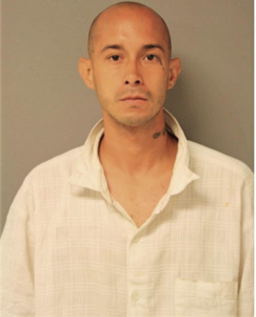 RAMON A GARCIA, Cook County, Illinois