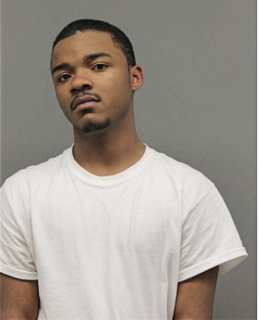 MICHAEL S GORDON, Cook County, Illinois