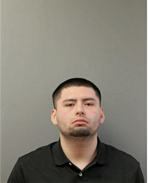 CESAR E HERNANDEZ, Cook County, Illinois