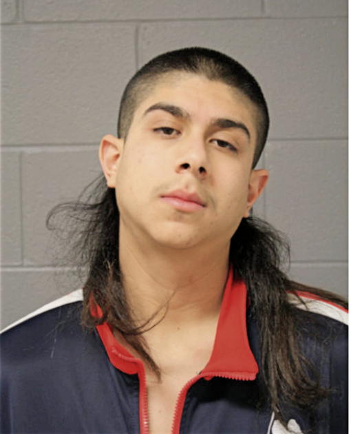 LUIS JIMENEZ, Cook County, Illinois