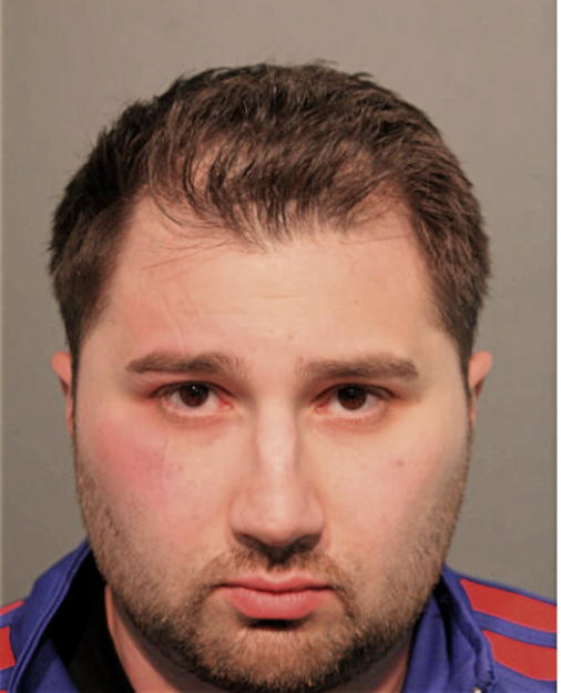 RYAN W LESNIAK, Cook County, Illinois