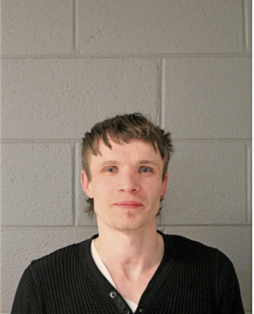 JAN P LOWISZ, Cook County, Illinois