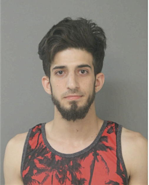 ALLAN A MAHRAN, Cook County, Illinois