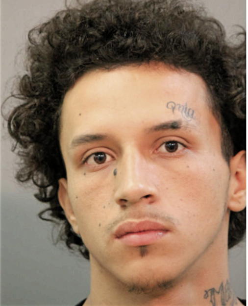 ERICK OLEAS, Cook County, Illinois