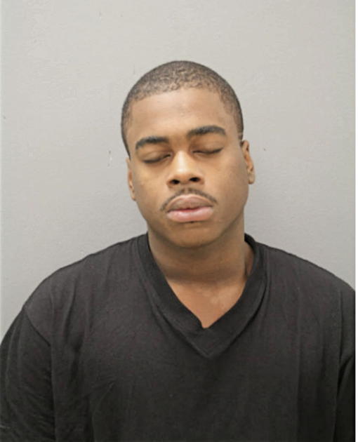 BRUCE M ONEAL, Cook County, Illinois