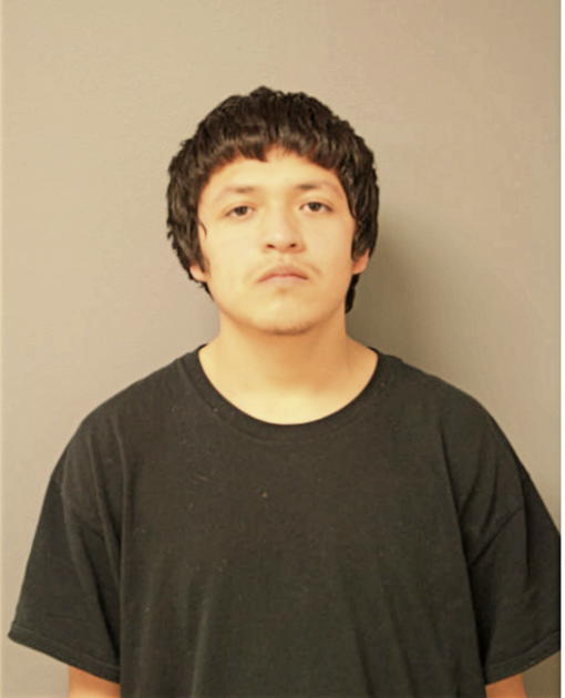 JOSE PERDOMO, Cook County, Illinois