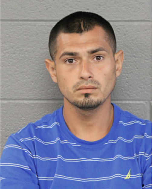 FRANCISCO A PEREZ, Cook County, Illinois