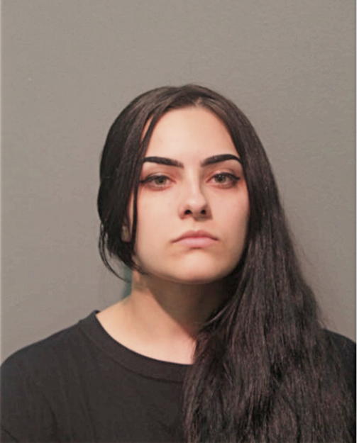 VERONICA L RAMIREZ, Cook County, Illinois