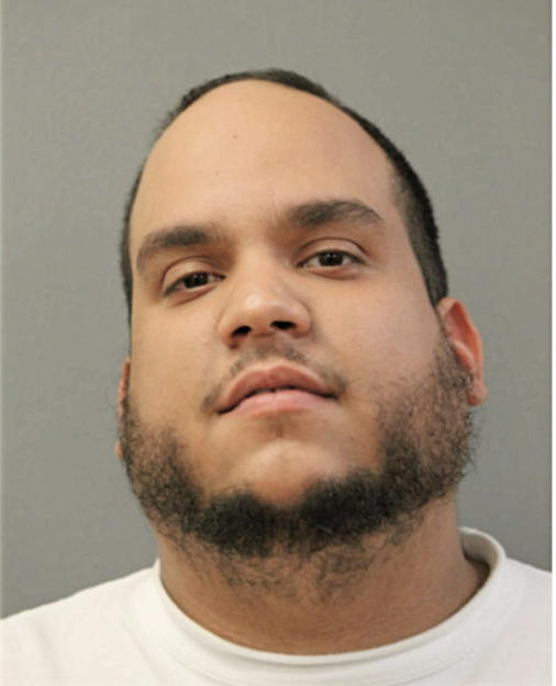 DANIEL ROLDAN, Cook County, Illinois
