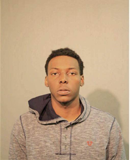 BRANDON L TATE, Cook County, Illinois