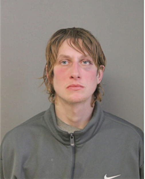 DANIEL S TEWELL, Cook County, Illinois