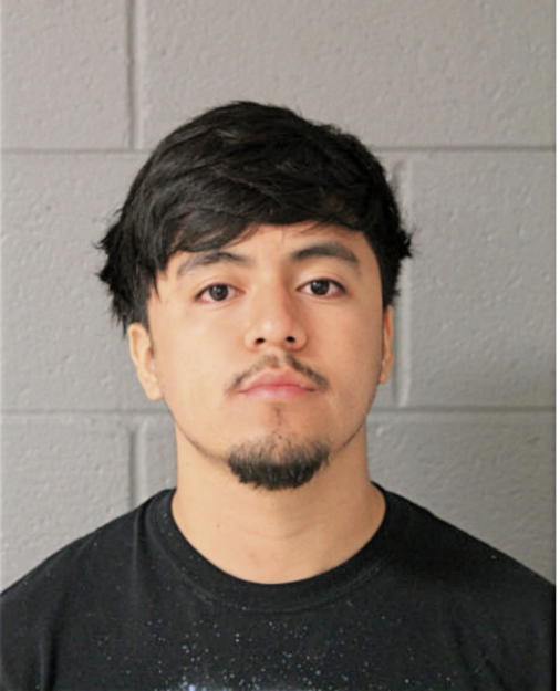 RICHARD ALANIS, Cook County, Illinois