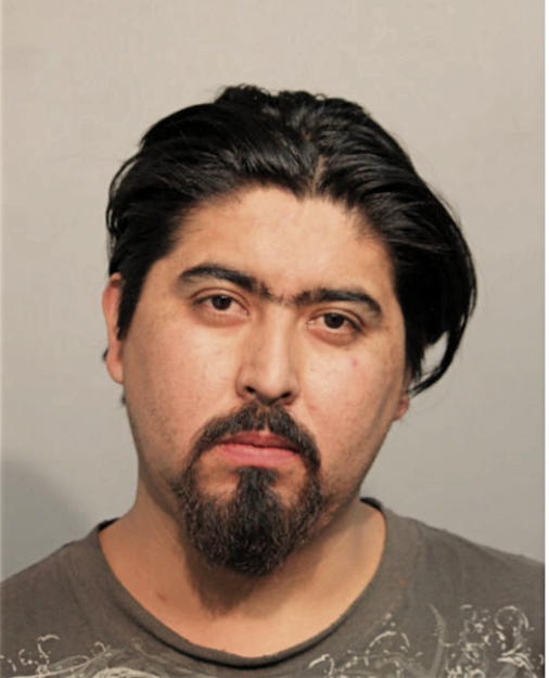 SERGIO ALANIS, Cook County, Illinois