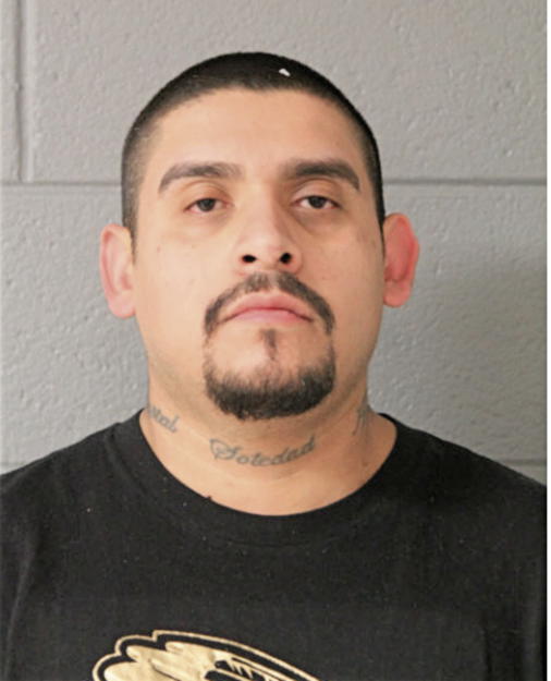 ANDRES ANDRADE, Cook County, Illinois