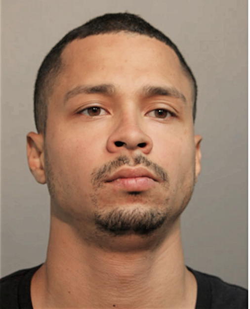 CAMILO ARANA, Cook County, Illinois