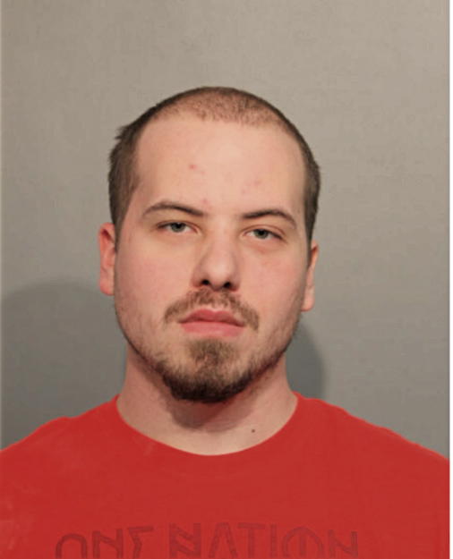 ALLAN L BALLY, Cook County, Illinois