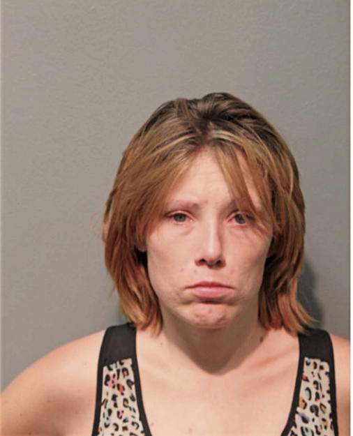 MELISSA BANYS, Cook County, Illinois