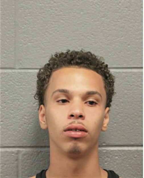 NATHAN A BERMUNDEZ, Cook County, Illinois