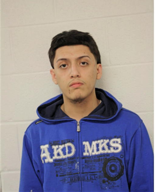 FERNANDO S BRITO, Cook County, Illinois