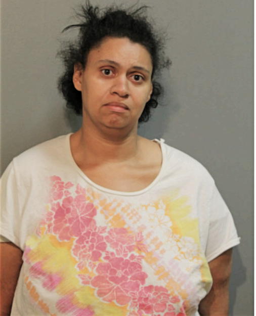MEIGAN N CARROLL, Cook County, Illinois