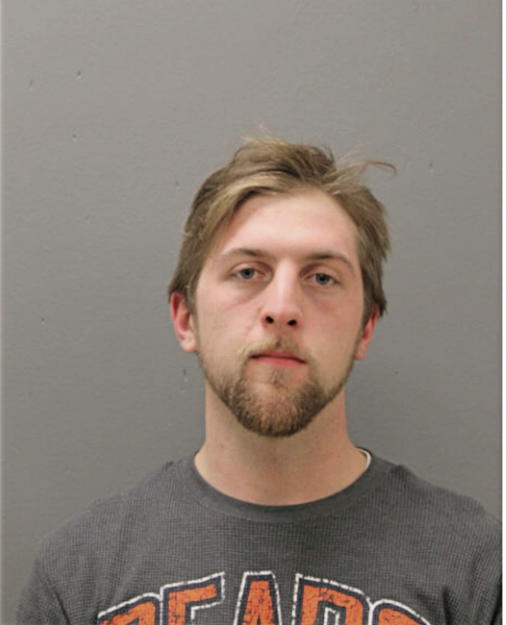 ALEXANDER T FLISK, Cook County, Illinois