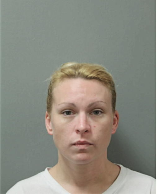 MEGAN E GIBSON, Cook County, Illinois
