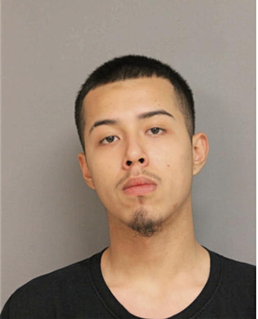 JULIO C GONZALEZ, Cook County, Illinois