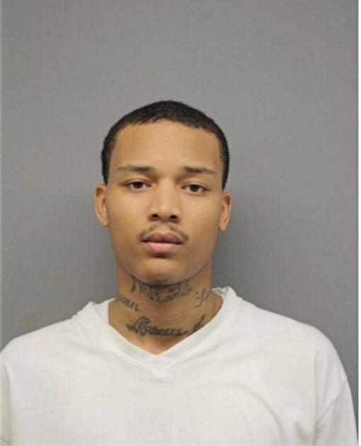 MARCUS J HUDSON, Cook County, Illinois
