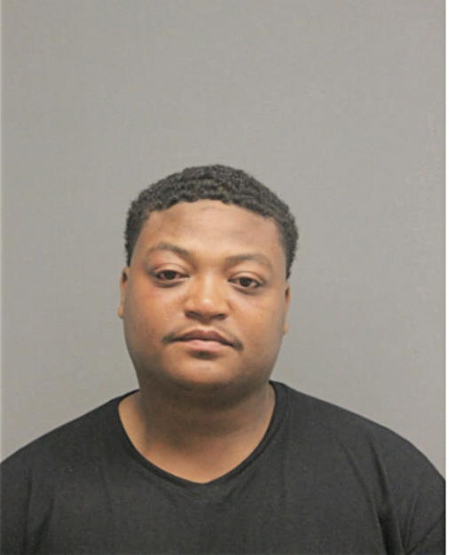 LAWRENCE L JOHNSON, Cook County, Illinois