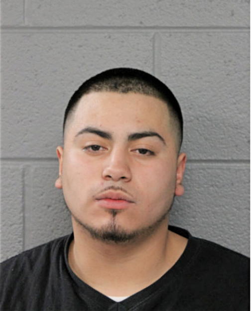ANGEL M LAURENZANA, Cook County, Illinois