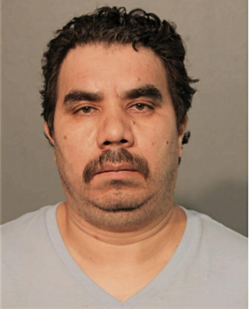 JUAN M MENDOZA, Cook County, Illinois