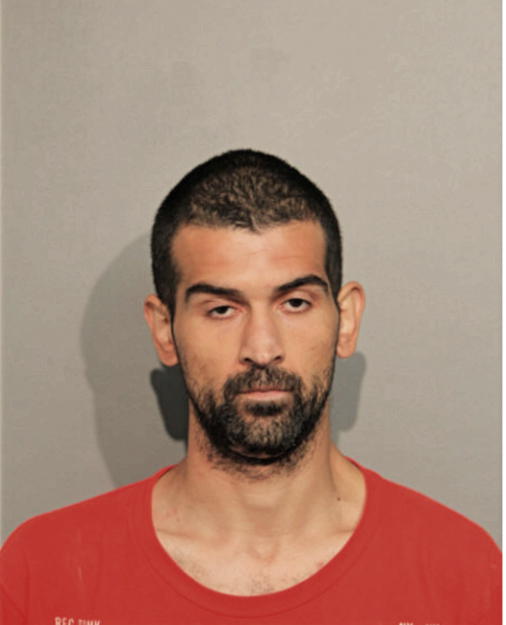 DAVID M MERCADO, Cook County, Illinois