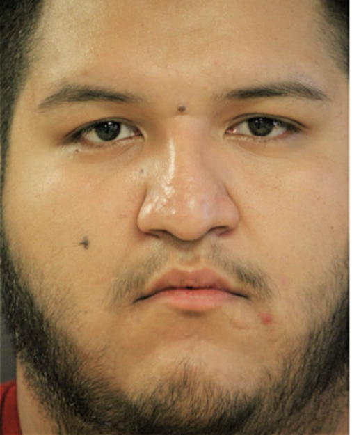JERONIMO PALAFOX, Cook County, Illinois