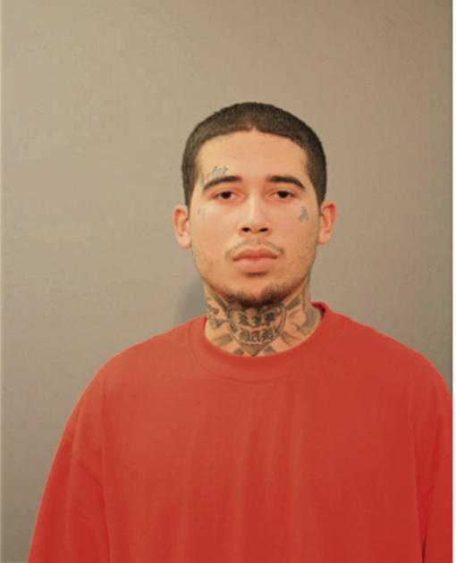 ANGEL L PEREA, Cook County, Illinois