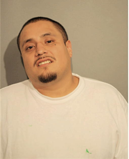 ENRIQUE PLATA, Cook County, Illinois