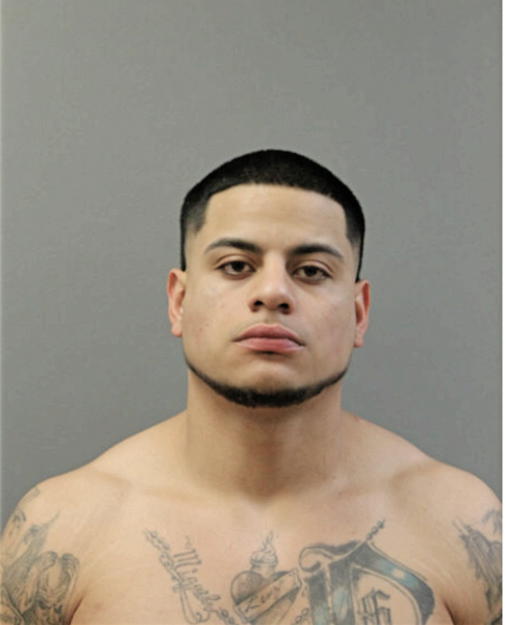 NOEL ROSA, Cook County, Illinois