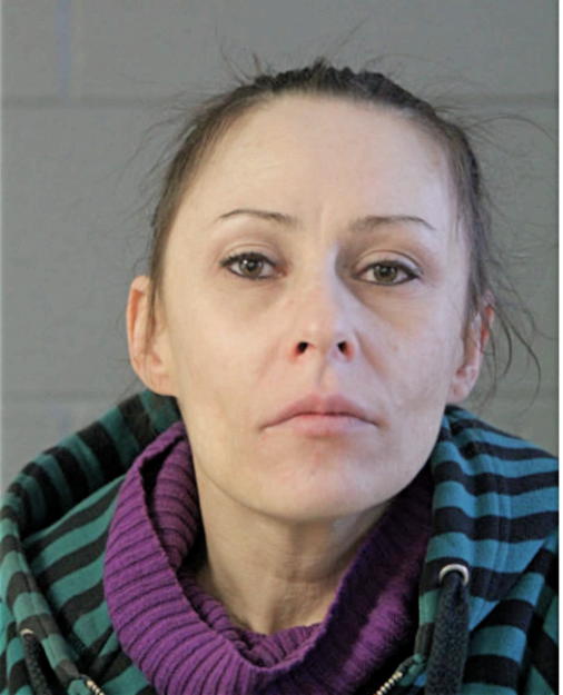 MEGAN M RUDNICK, Cook County, Illinois
