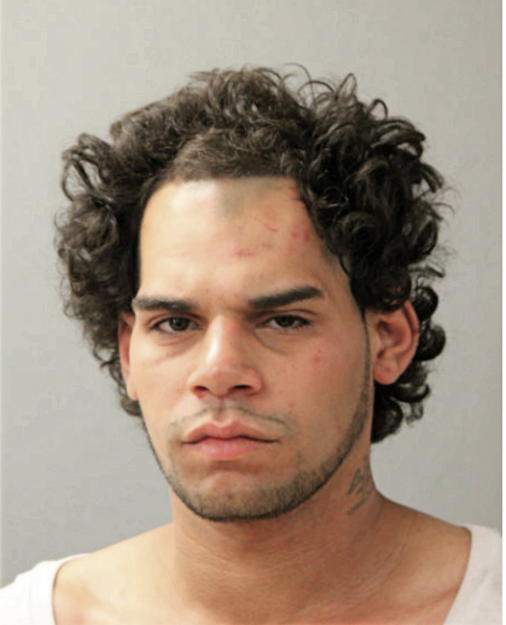 ANTHONY I SANCHEZ, Cook County, Illinois