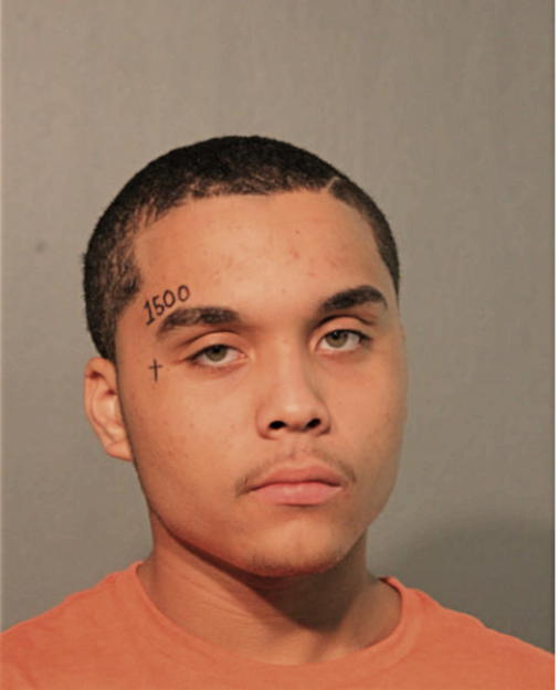 BRANDON C STEVESON, Cook County, Illinois