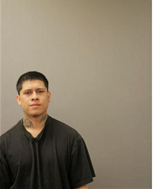 MARCO TAVIRA, Cook County, Illinois