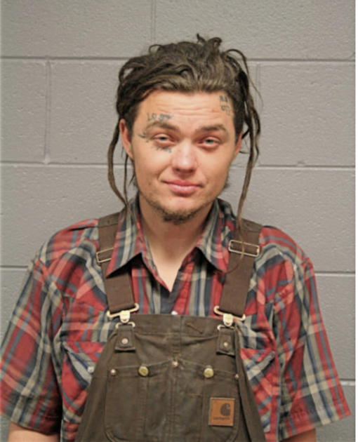 NICK B TURNER, Cook County, Illinois
