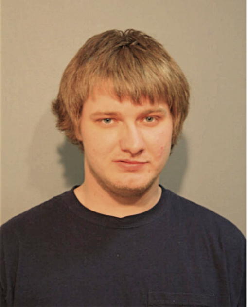 MICHAEL P A SIMPSON, Cook County, Illinois