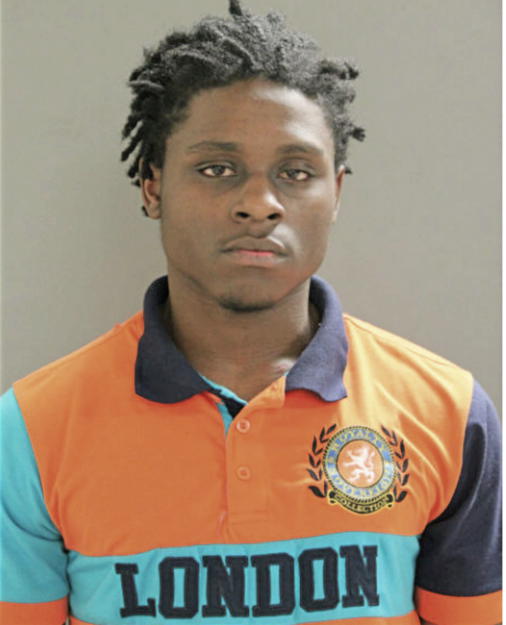 DERRICK L ALLEN, Cook County, Illinois