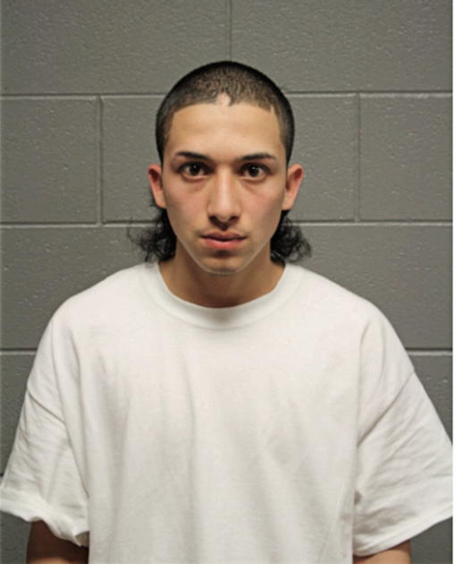 MARTIN ALVARADO, Cook County, Illinois