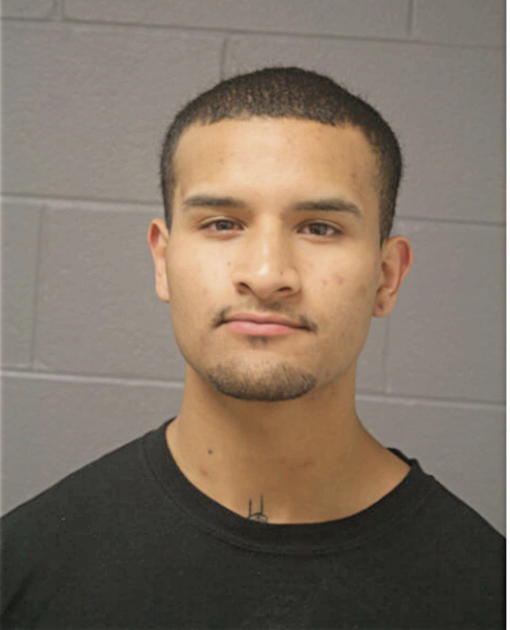 RICARDO ANDRADE, Cook County, Illinois