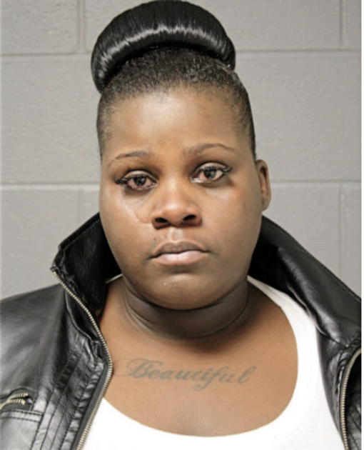 SARA N DIXON, Cook County, Illinois