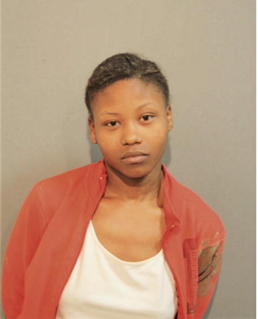 SHABBLI M ELERBY, Cook County, Illinois