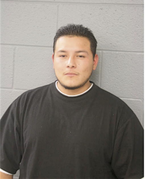 LUIS A ESPINOZA, Cook County, Illinois