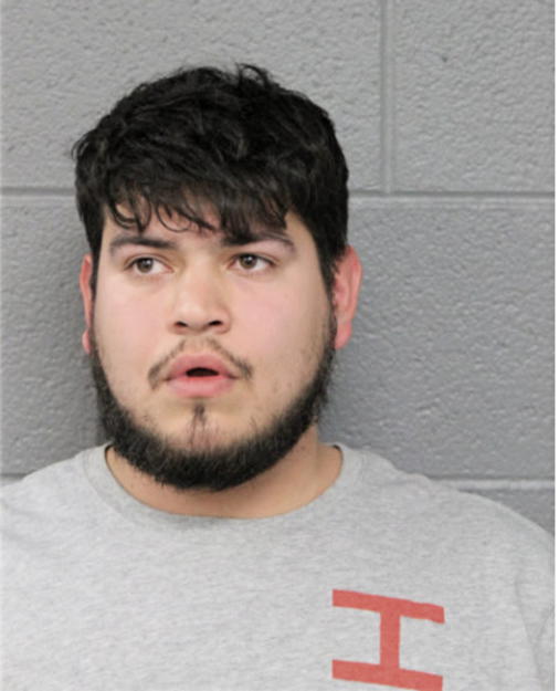 CESAR JULIO FLORES, Cook County, Illinois